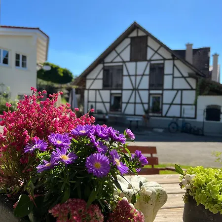 Cafe Canape, Wohlfuehlen Auf Dem Sonnigen Balkon Zwischen & Bodensee
